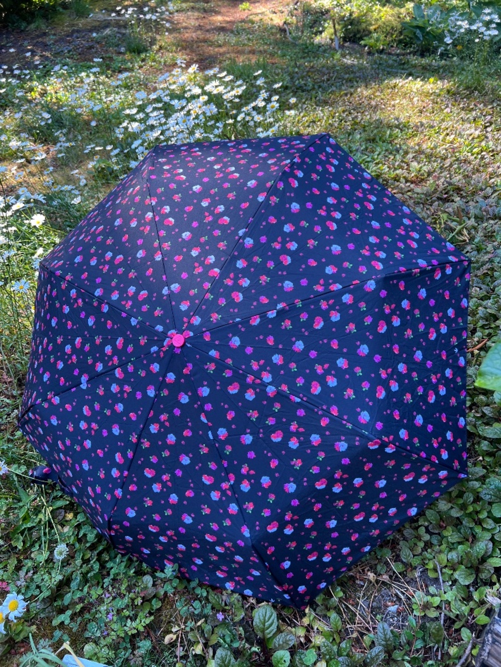Fulton Floral Umbrella Black with Red and White Flowers